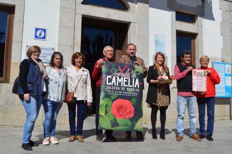 Salceda convértese, esta fin de semana, na induscutible capital galega da camelia