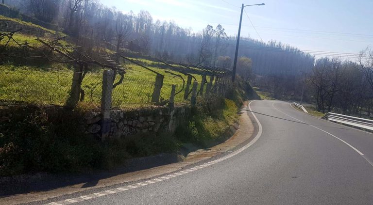 As Neves amosa o seu malestar polo uso de glifosato por parte da Xunta