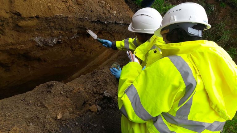 A plataforma Antilindano da Louriña alerta da aparición dunha nova vertedura en Torneiros