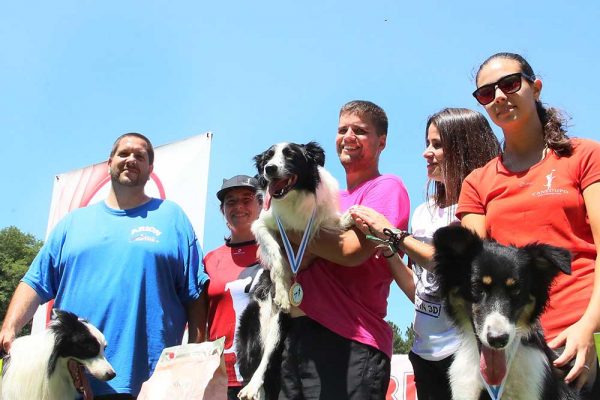 Trofeo Agility Concello de Ponteareas