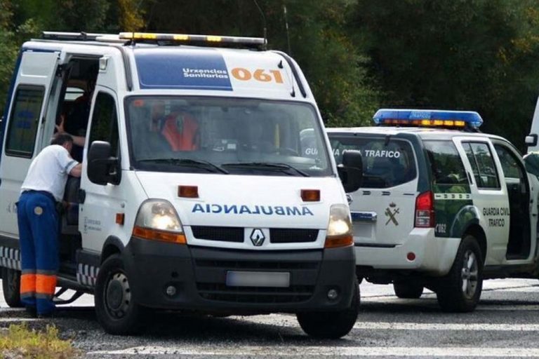 Un home resultou ferido nas Neves ao caerlle unha árbore enriba