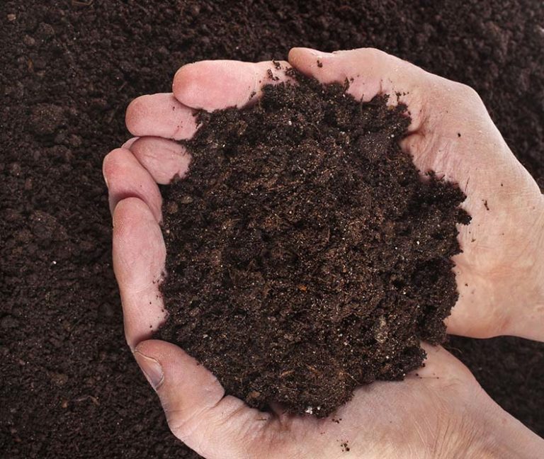 O ‘Revitaliza’ colabora este domingo na reforestación do monte en Salceda co compost dos centros de compostaxe comunitarios do municipio