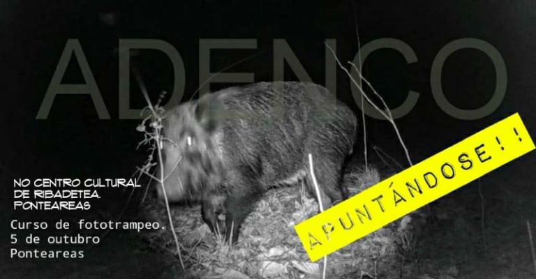 Adenco organiza un curso de ‘fototrampeo’, un xeito de estudar a fauna sen interferir