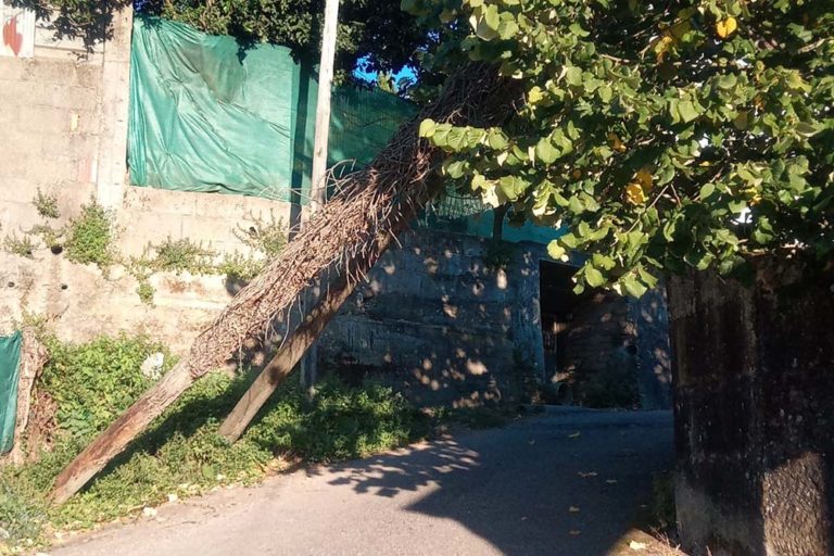 ACiP denuncia o corte dun vial en Guillade pola caída de dous postes de alumeado