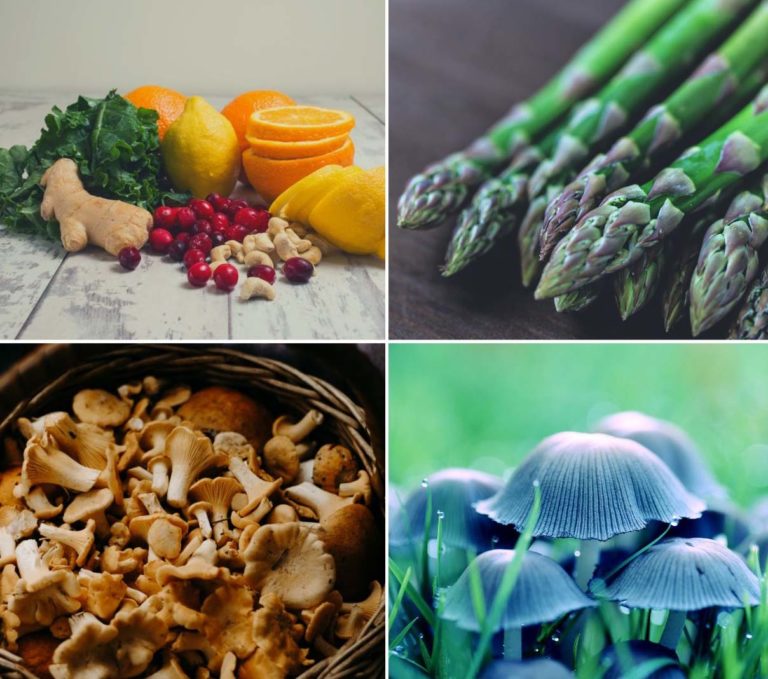 Obradoiro de ‘cociña verde e superalimentos’ e xornada de micoloxía na Guarda