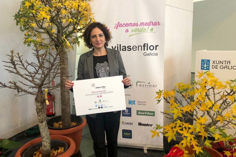 «Vilas en Flor» premia o traballo de Tomiño na mellora do espazo verde urbano