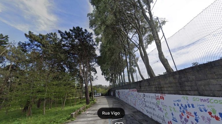 A Guarda retira varias árbores do CEIP da Sangriña