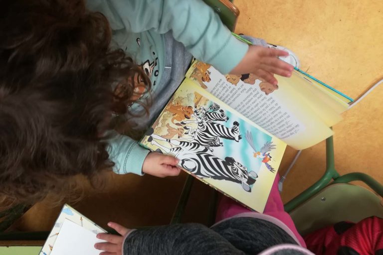 As Axencias de lectura de Areas, Xinzo e Ribadetea volven a abrir as súas portas
