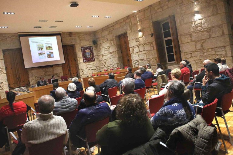 Os colectivos sociais de Ponteareas apostan pola mellora do transporte público entre a vila e as parroquias