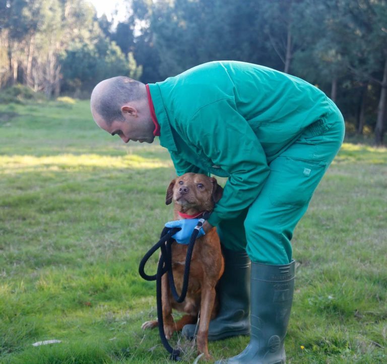 «Bertín», o ‘avó’ do CAAN xa desfruta no seu novo fogar