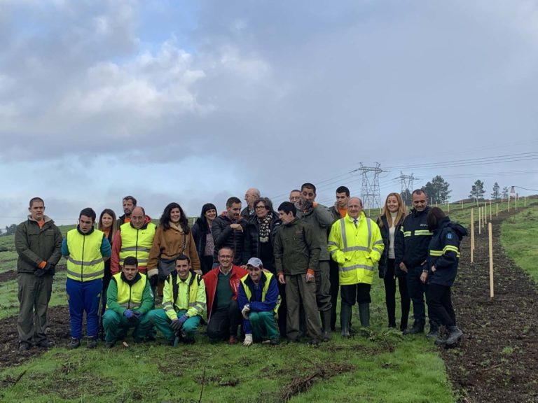 A antiga «Canteira Ferro» volve a ser monte reforestado e devolto ao Concello do Porriño