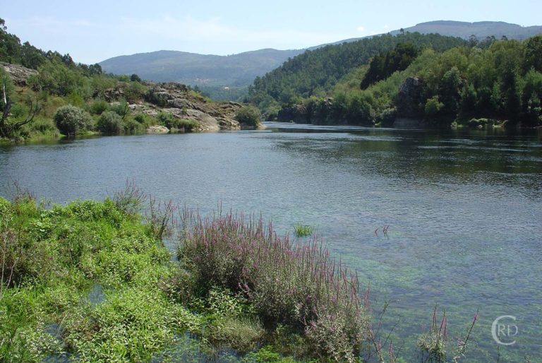 O Tramo Internacional do Río Miño estreará novas medidas de xestión fluvial durante a próxima tempada de pesca