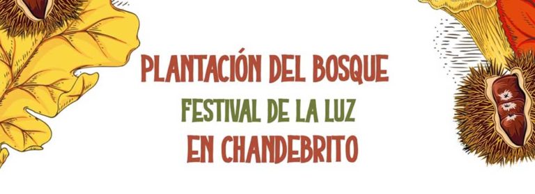 Adiados os actos lúdicos do evento ‘Bosque da Luz’ de Nigrán