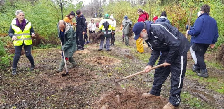 Os montes das Neves recuperan cor coa plantación de 1.800 árbores autóctonas máis
