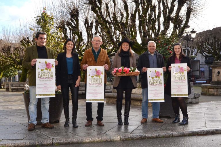 Máis de 500 variedades, nas XII Xornadas da Camelia de Salceda de Caselas