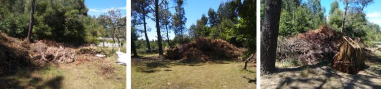 ACiP denuncia a existencia de restos de poda e lixo nunha leira municipal situada nun parque forestal