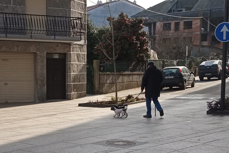 Primeiras sancións do Concello de Salceda por non recoller os excrementos das mascotas
