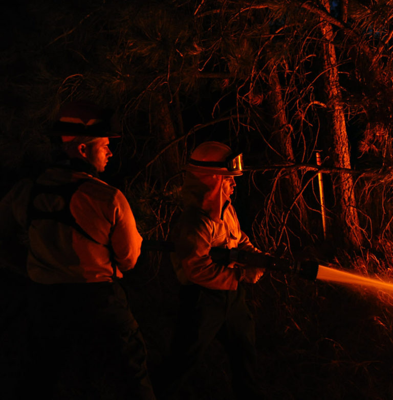 A Delegación do Goberno informa de que as forzas de Seguridade do Estado suman cerca de medio centenar de detidos e investigados por incendios forestais en Galicia este ano
