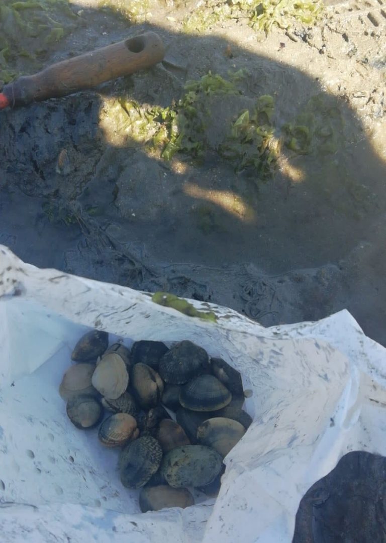 Medio Ambiente e a Policía local identifican a seis persoas por marisqueo ilegal na praia de Arealonga