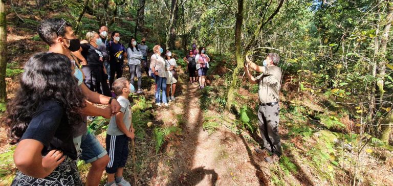 Remata o programa ‘Bosques terapéuticos’ da Deputación no que participaron 450 persoas