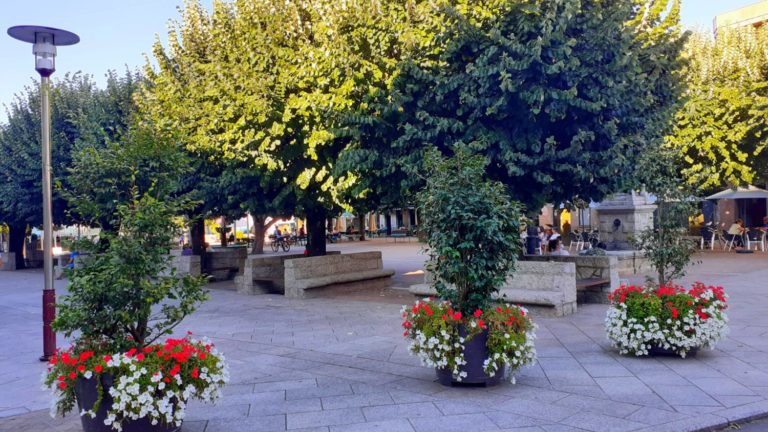 O concello de Salceda de Caselas súmase á terceira edición do certame Vilas en Flor