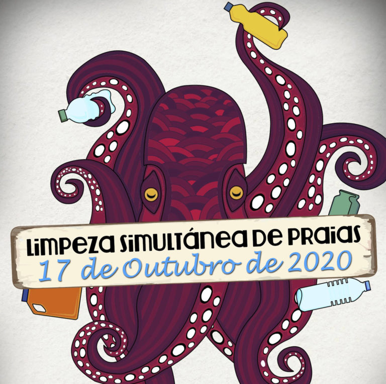 IX limpeza simultánea de praias