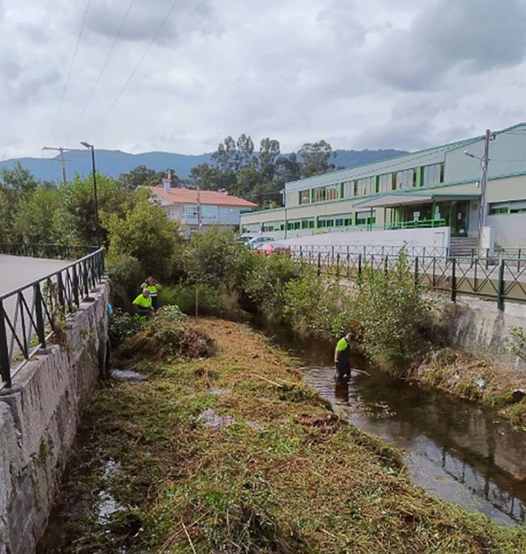 O Concello de Baiona limpa os leitos dos ríos ante a chegada das choivas