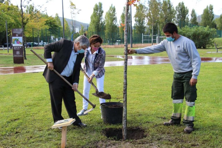 A Eurocidade Cerveira-Tomiño planta a ‘Arbore da Amizade’ no parque de lecer do Castelinho