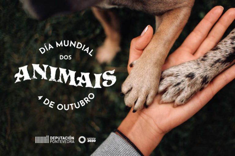 A Deputación súmase ao ‘Día Mundial dos Animais’ que se celebra hoxe domingo, cunha nova campaña centrada no CAAN