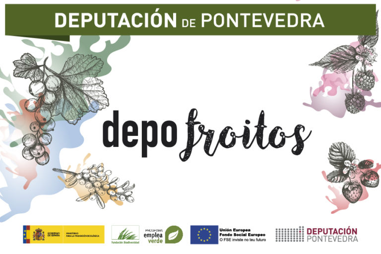 Preto dun cento de persoas participaron no programa Depofroitos que impulsa as plantacións de froitos de bosque ecolóxico