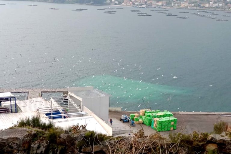 O Concello insta a Xunta de Galicia a paralización dan entrada de materia prima na planta de Aucosa
