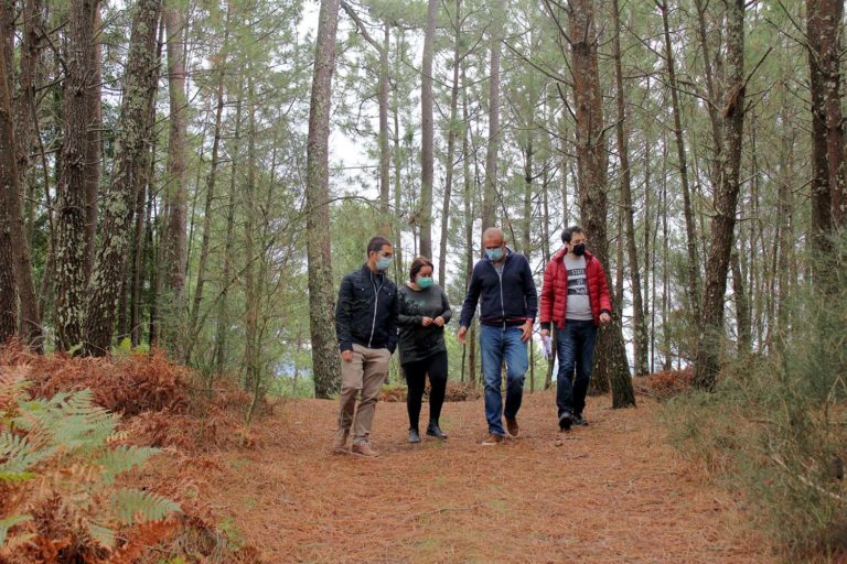 Nigrán inicia a tramitación para rexenerar o monte de Santa Cruz, en San Pedro, e convertelo nun “novo pulmón verde” para o municipio