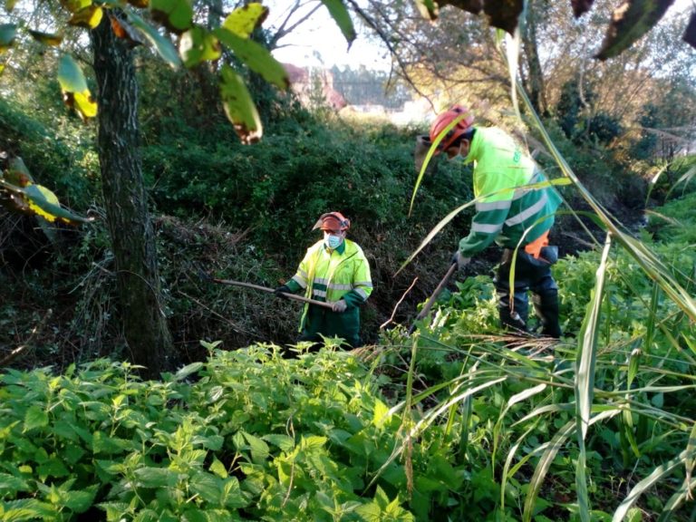 A Xunta realiza traballos de conservación e limpeza nos ríos Muíños e Pinicho en Nigrán