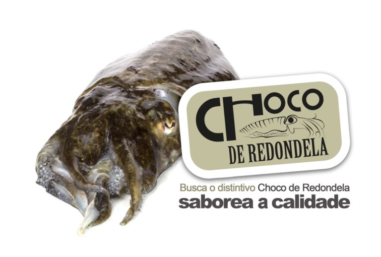 O choco de Redondela, marca de calidade