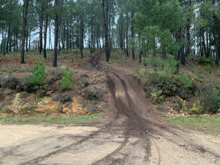 Denuncia sobre a presenza masiva de vehículos nos montes por parte das comunidades de montes