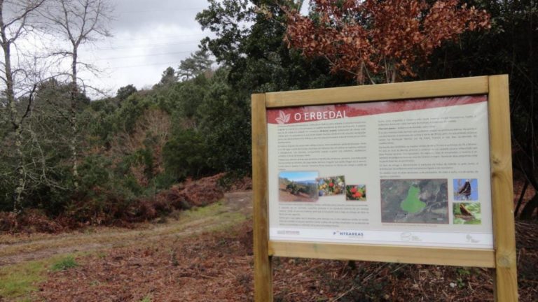 Concello de Ponteareas e Deputación de Pontevedra poñen en valor o erbedal do parque forestal da Picaraña