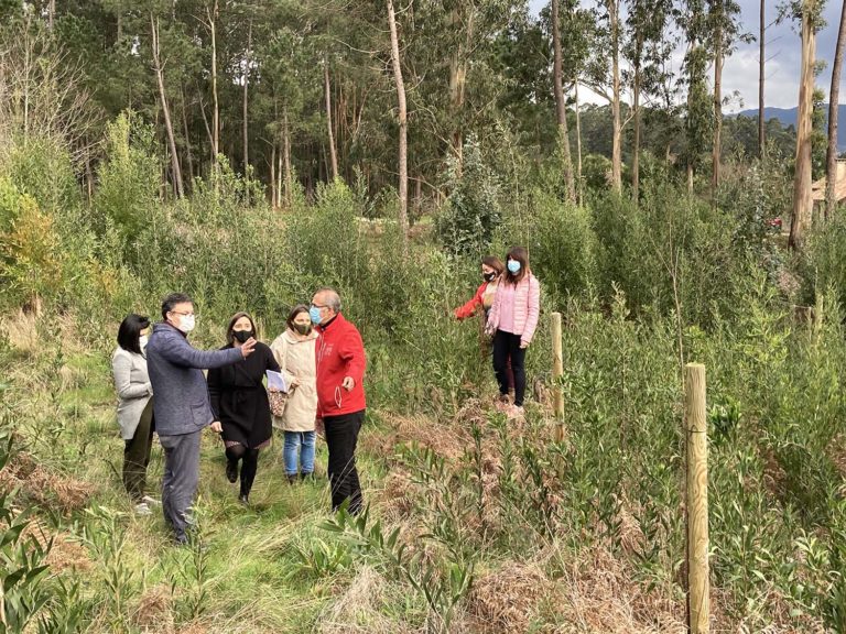 Nigrán proxecta a creación dun ‘Bosque-Escola’ no CEIP Carlos Casares aproveitando a tomada municipal ao seu carón