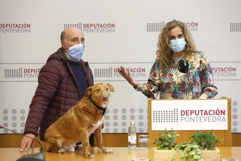 O CAAN da Deputación triplica en mes e medio as adopcións con 100 animais que xa atoparon un fogar desde o centro