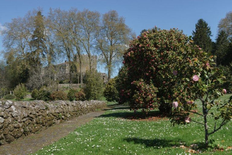 A Deputación lanza, por terceiro ano consecutivo, as visitas guiadas ao xardín de Excelencia Internacional da Camelia no Castelo de Soutomaior