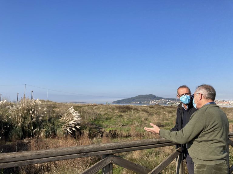 Nigrán adhírese á estratexia transnacional ‘Stop Cortaderia’ para erradicar a ‘herba da pampa’