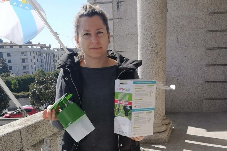 Salvaterra lanza, un ano máis, unha campaña de concienciación ante a vespa velutina