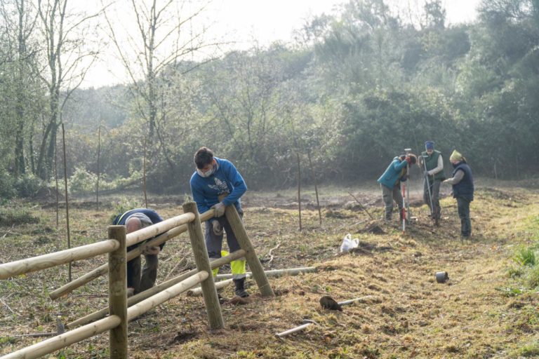 O Concello de Tomiño continúa o labor de recuperación ambiental da ribeira do Miño