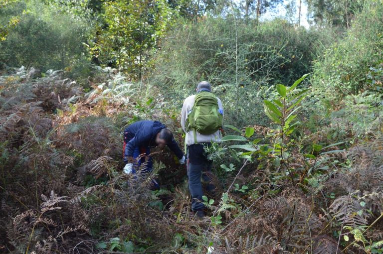 Máis de 300 fincas expedientadas no 2020 en Tomiño por non cumprir a Lei de Prevención de Incendios Forestais ou a Ordenanza de Biomasa