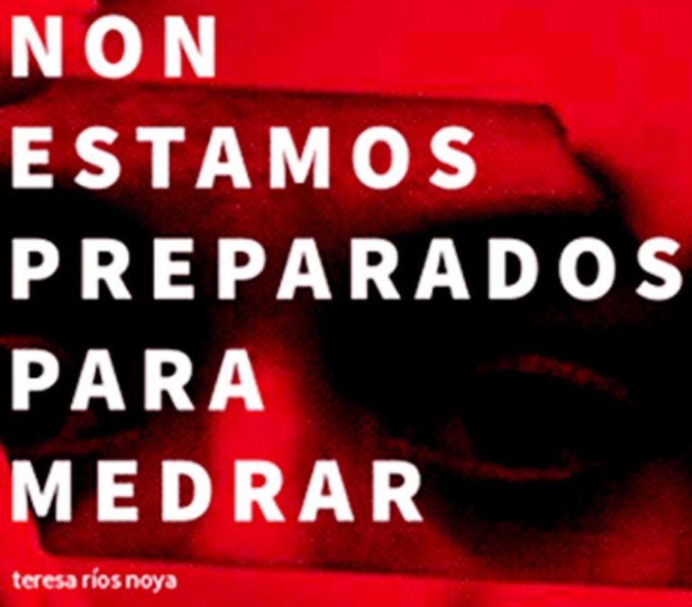 Teresa Ríos Noya, «Non estamos preparados para medrar»