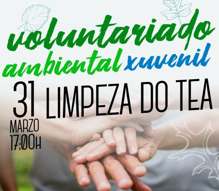 O voluntariado ambiental xuvenil de Ponteareas retoma as actividades cunha limpeza na contorna