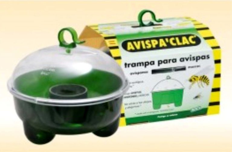Arbo distribuirá 50 trampas contra a avespa velutina