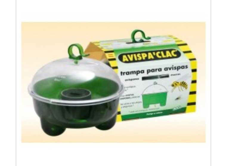 Arbo distribuirá 50 trampas para avespa velutina
