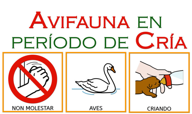 Avifauna en período de cría en Redondela