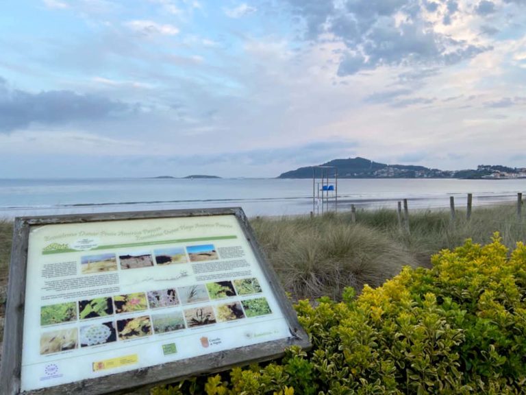 Nigrán renovará toda a sinalización do espazo dunar de Praia América-Lorido incluíndo sistema braille e audioguías