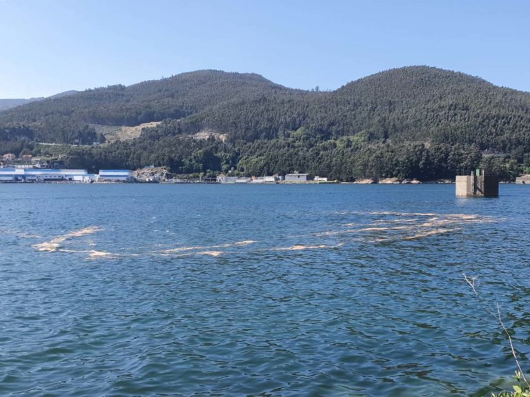 Os informes do axente medioambiental de Redondela apuntan a que a vertedura á ría do día 26 tivo a súa orixe en Aucosa